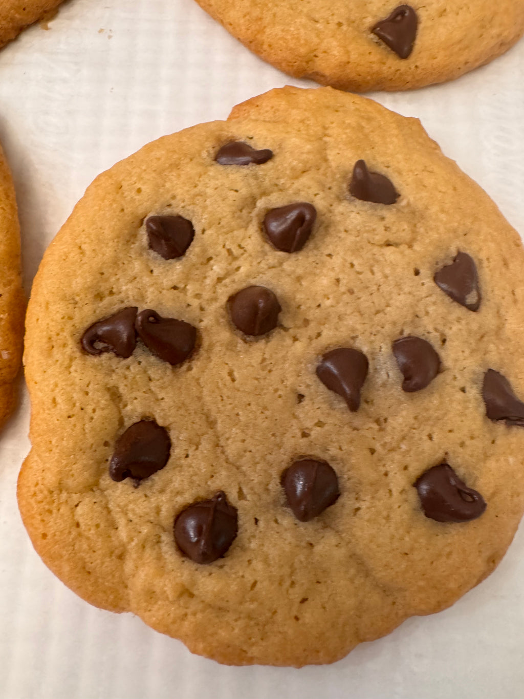 Chocolate chip cookie